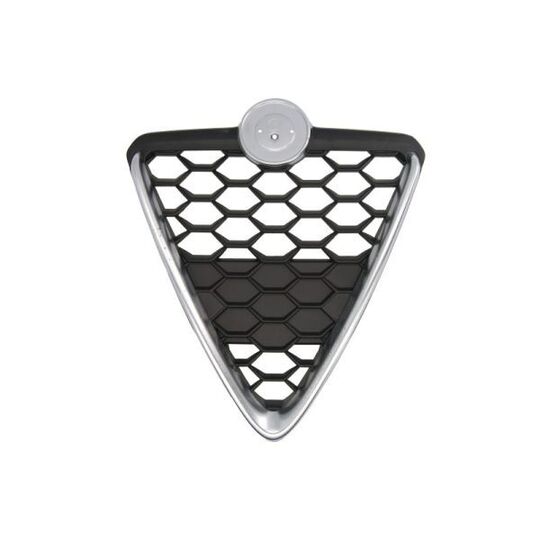 6502-07-0105999P Radiator Grille