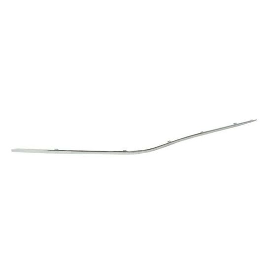 6502-07-3527921P Trim/Protective Strip, bumper