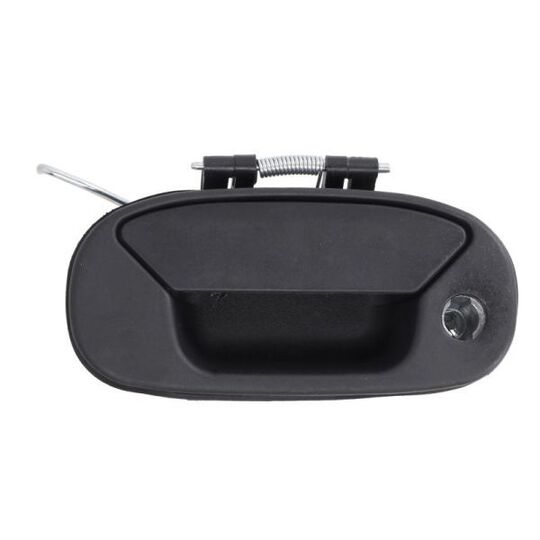 6010-07-029417PP Door Handle
