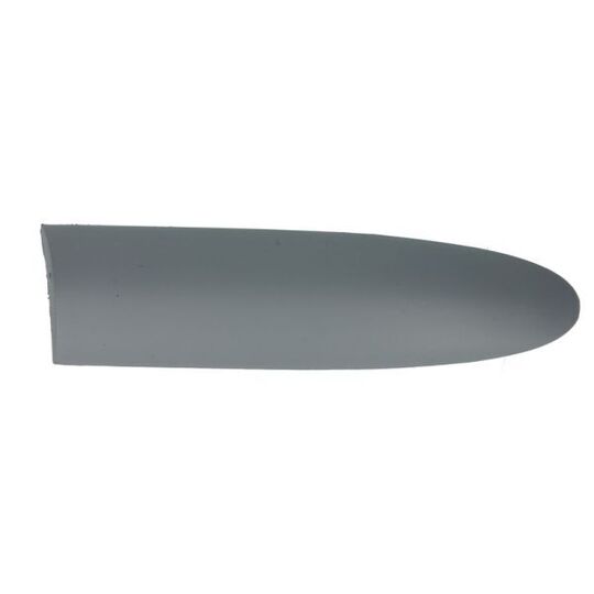 5703-04-2031478P Trim/Protective Strip, door
