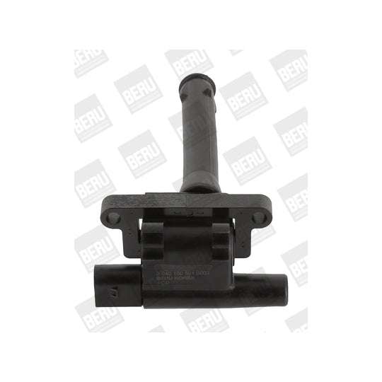 ZS 501 Ignition coil