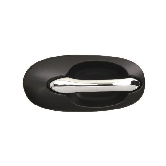6010-53-012404P Door Handle