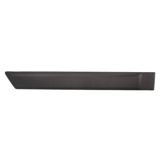 5703-04-2576574PP Trim/Protective Strip, door
