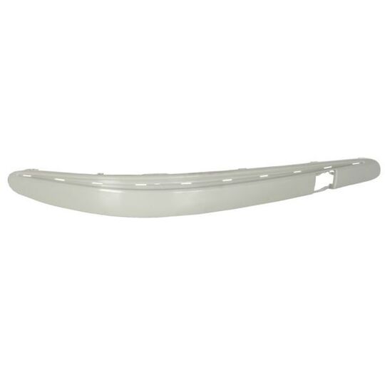 5703-05-3528930P Trim/Protective Strip, bumper