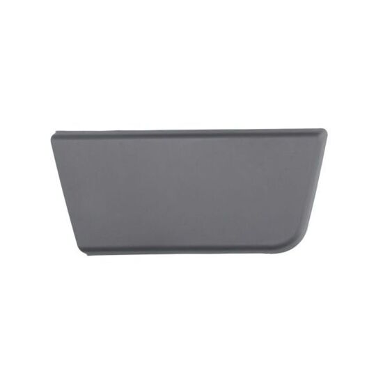 5703-04-2097572P Trim/Protective Strip, door