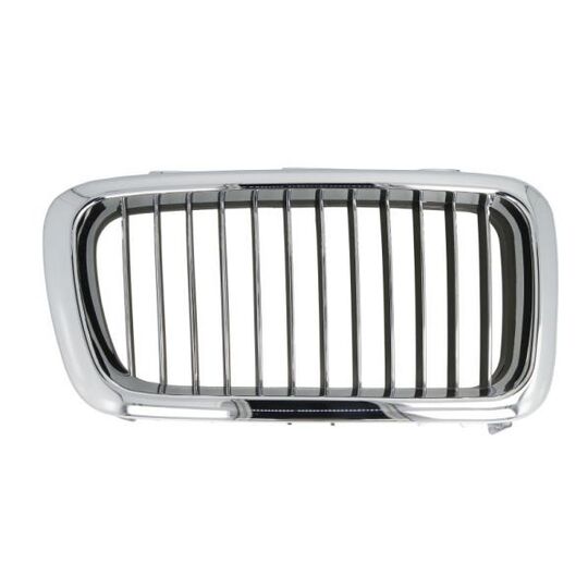 6502-07-0075994P Radiator Grille