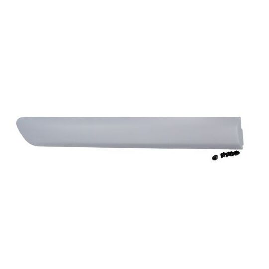 5703-04-2042578P Trim/Protective Strip, door