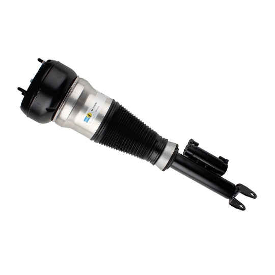 44-239961 Air Spring Strut