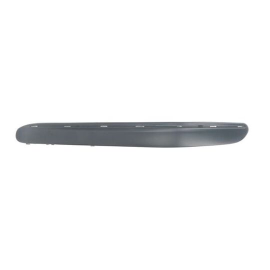 6502-07-3515933P Trim/Protective Strip, bumper