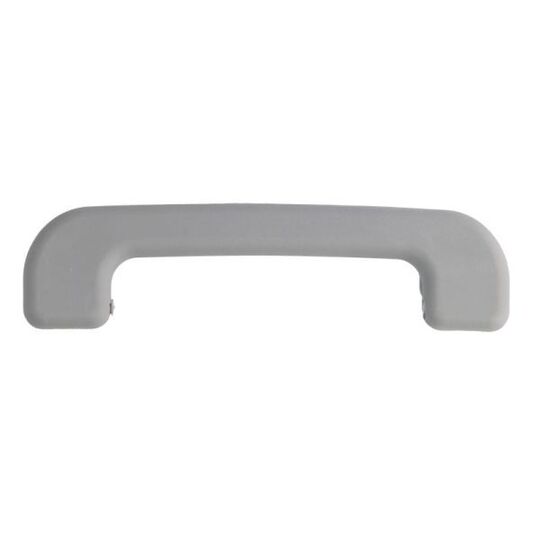 6010-09-030411P Grab Handle, interior trim