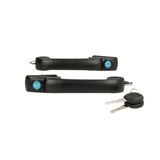 6010-01-015407P Door Handle