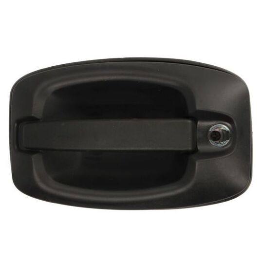 6010-30-003401P Door Handle