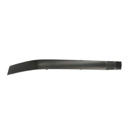 5703-05-0060923P Trim/Protective Strip, bumper