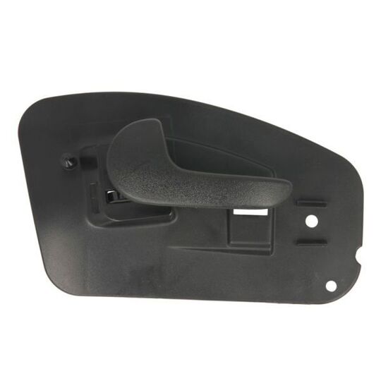 6010-04-040409TP Door Handle