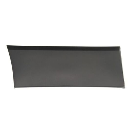 5703-04-6063584P Trim/Protective Strip, wing