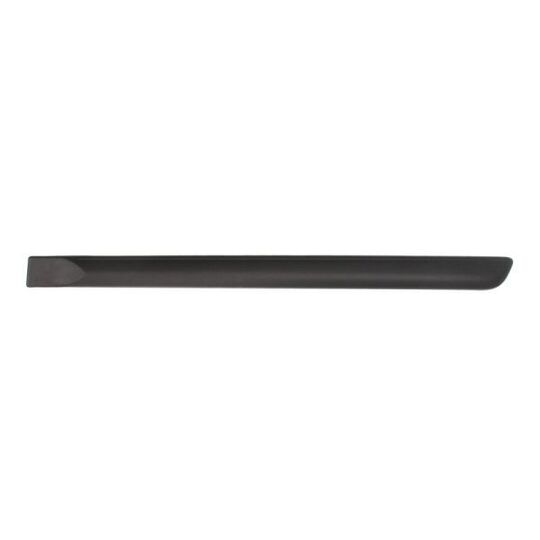 5703-04-2024573P Trim/Protective Strip, door