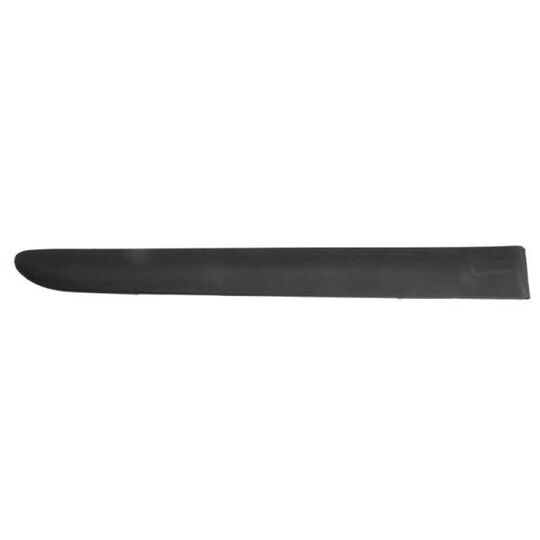 5703-04-2532574P Trim/Protective Strip, door