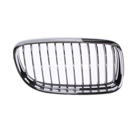 6502-07-0062992PP Radiator Grille
