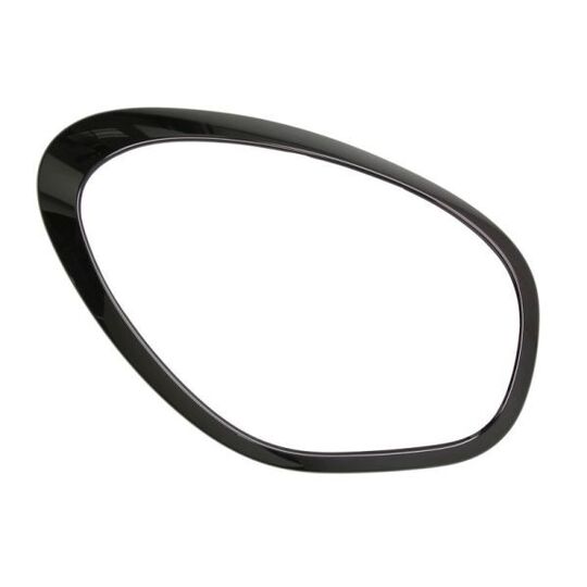 6502-07-4003994P Frame, headlight