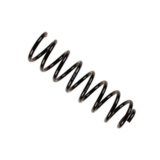 37-163754 Coil Spring