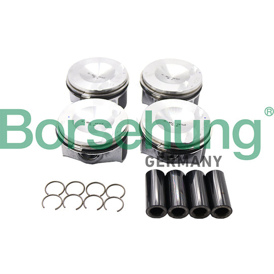 B13574 Piston set