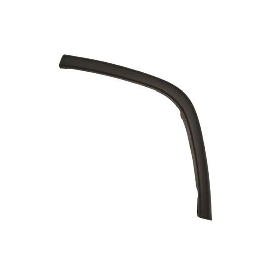 5703-08-3206375P Trim/Protective Strip, door