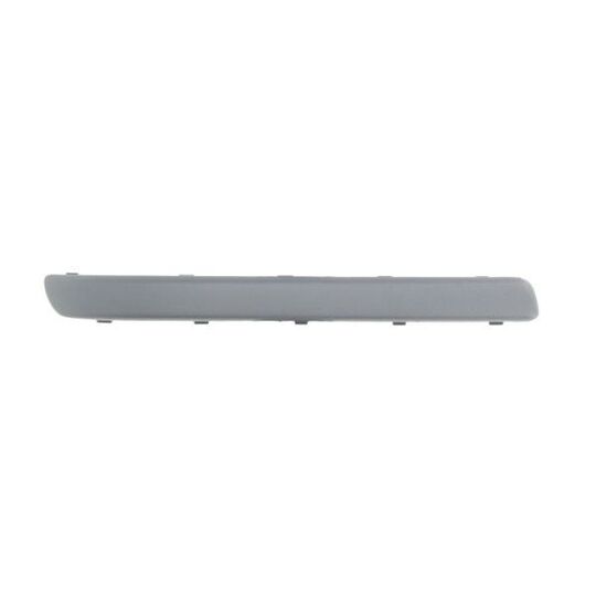 5703-05-5023973Q Trim/Protective Strip, bumper