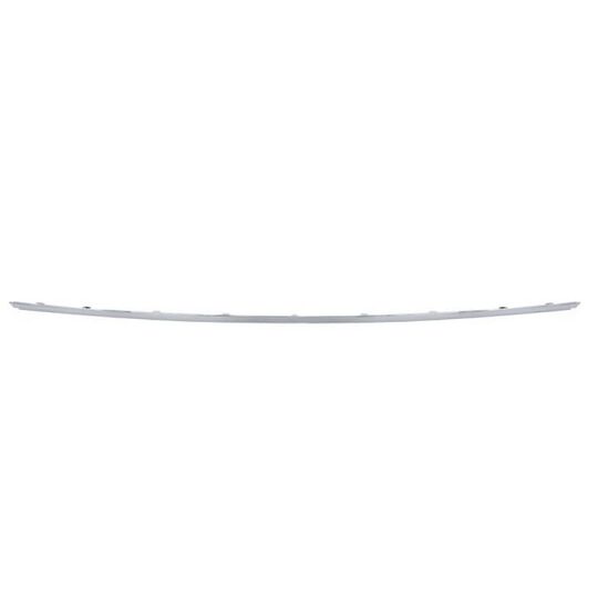 5703-05-3518976P Trim/Protective Strip, bumper