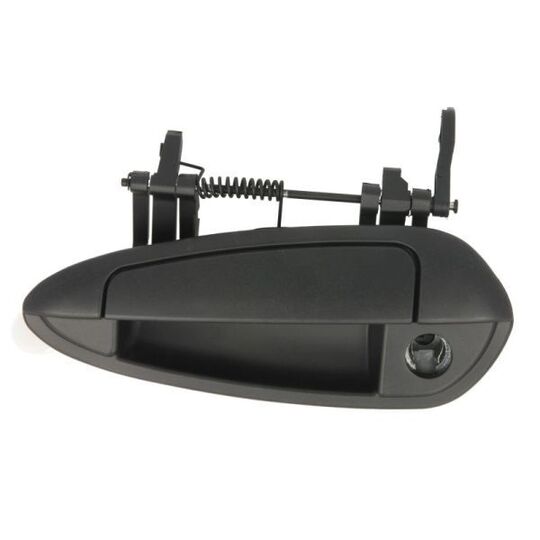 6010-07-036401P Door Handle