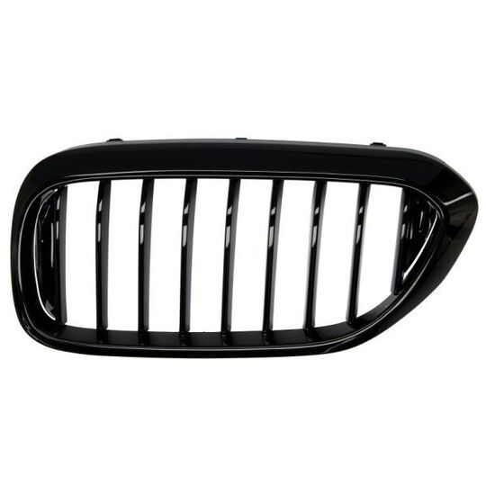 6502-07-0068991P Radiator Grille