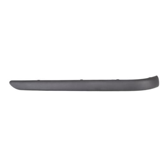 5703-05-0061973P Trim/Protective Strip, bumper