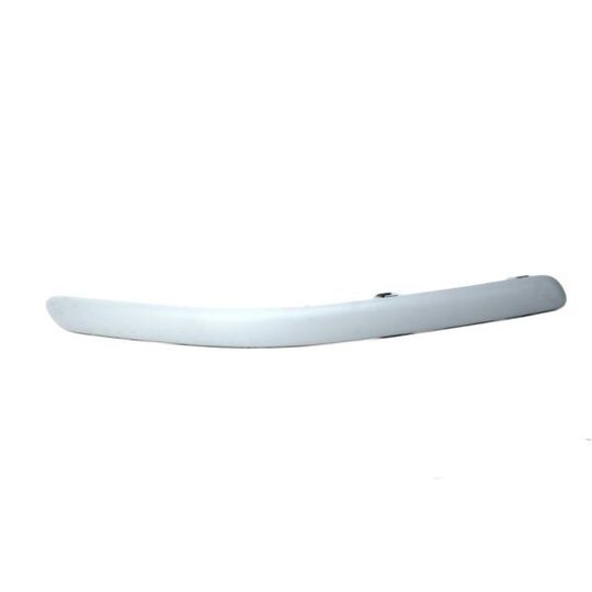 5703-05-8161922P Trim/Protective Strip, bumper