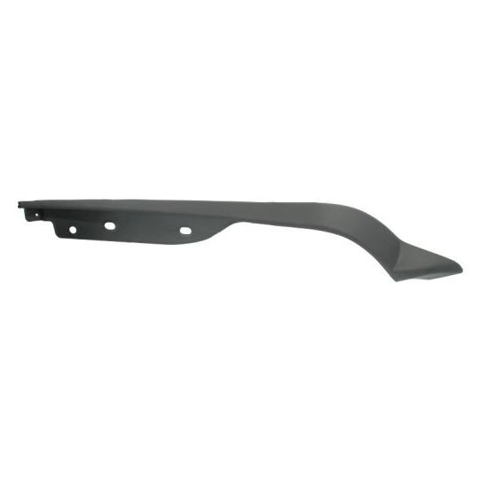 6502-07-3181971P Trim/Protective Strip, bumper