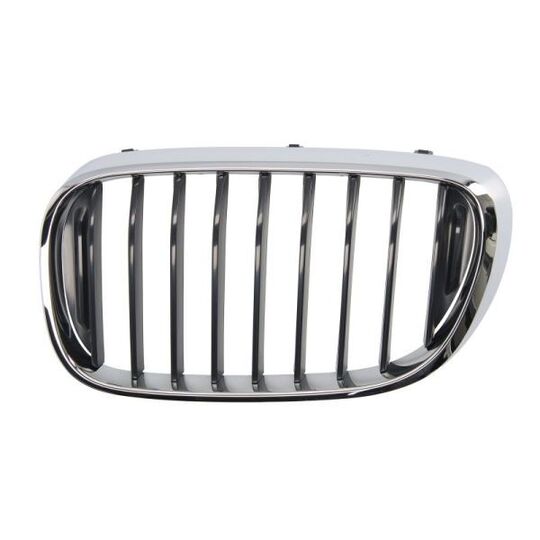 6502-07-0078991P Radiator Grille
