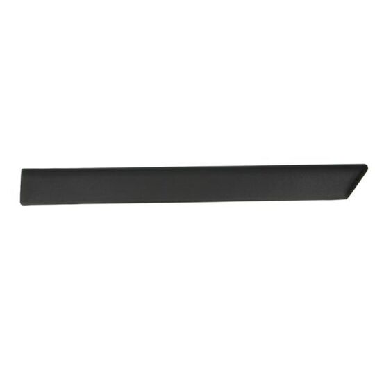 5703-04-2564473P Trim/Protective Strip, mudguard