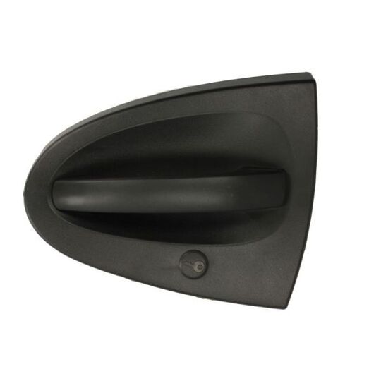 6010-02-004401P Door Handle