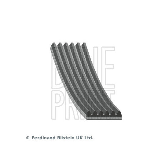 AD06R2870 V-Ribbed Belt