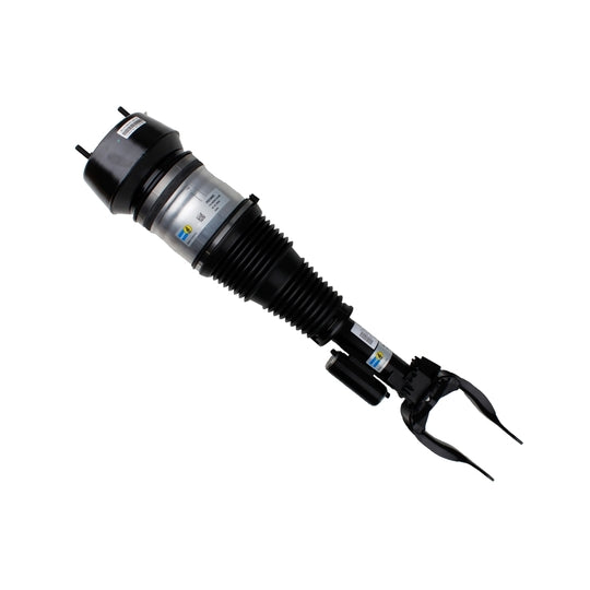 44-283155 Air Spring Strut