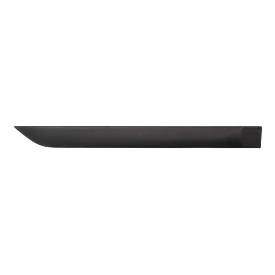 5703-04-2532578P Trim/Protective Strip, door