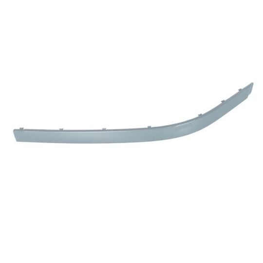 5703-05-0065929PQ Trim/Protective Strip, bumper