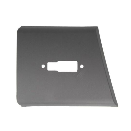 5703-04-2097576P Trim/Protective Strip, sidewall