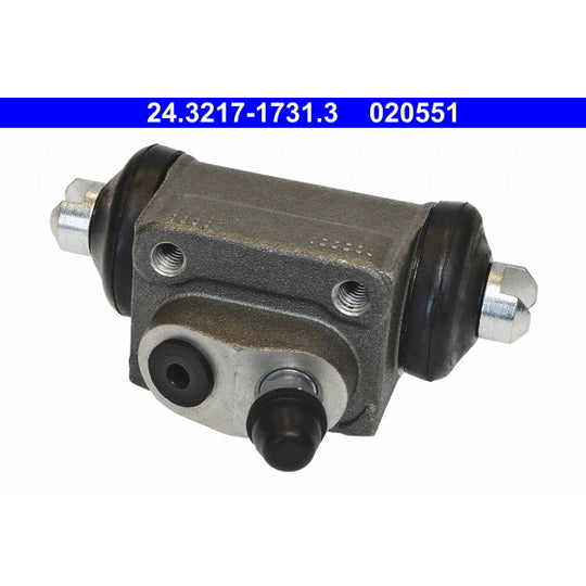 24.3217-1731.3 Wheel Brake Cylinder