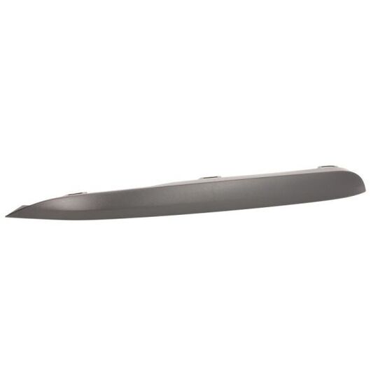 6502-07-00639917P Trim/Protective Strip, bumper