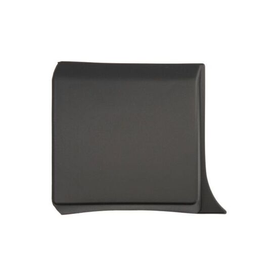 5703-04-6063582PP Trim/Protective Strip, wing