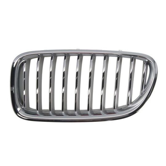 6502-07-0067997CP Radiator Grille