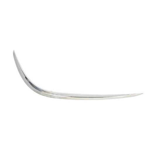 6502-07-3531915P Trim/Protective Strip, bumper