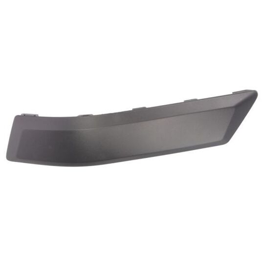 5703-05-2576976P Trim/Protective Strip, bumper