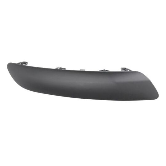 5703-05-5519971P Trim/Protective Strip, bumper
