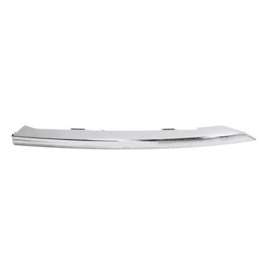 5703-05-3222921P Trim/Protective Strip, bumper