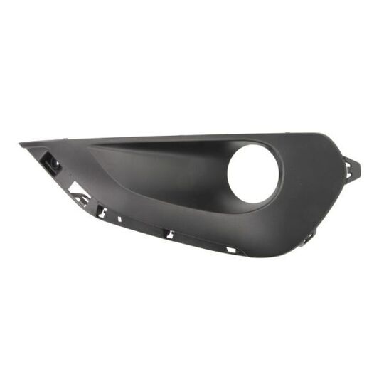 6502-07-5509916Q Trim/Protective Strip, bumper